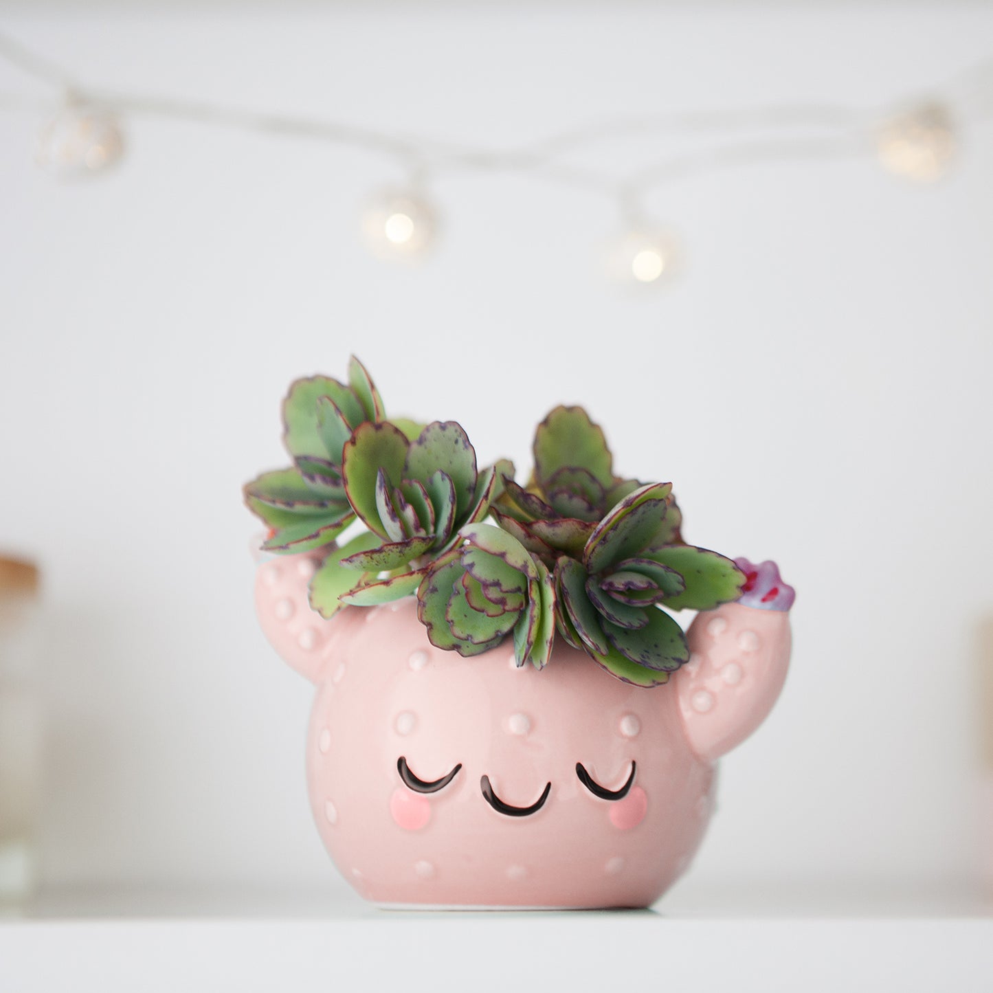 Pink Cactus Pot
