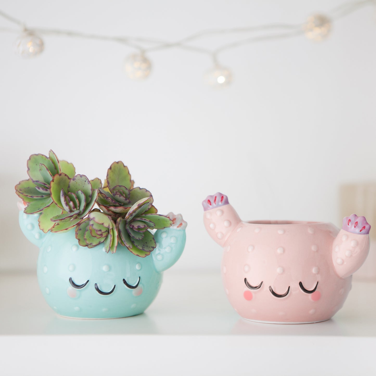 Pink Cactus Pot