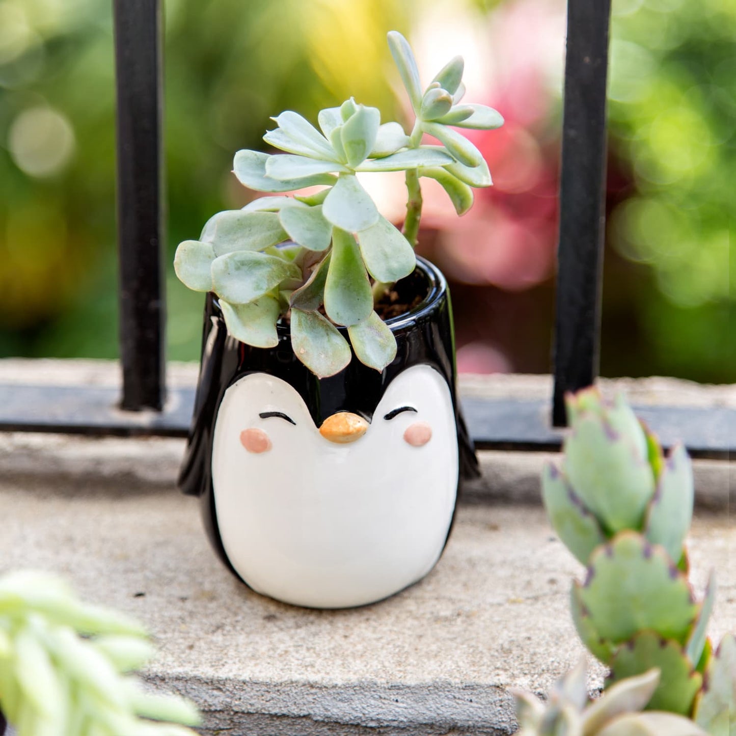 Penguin Pot